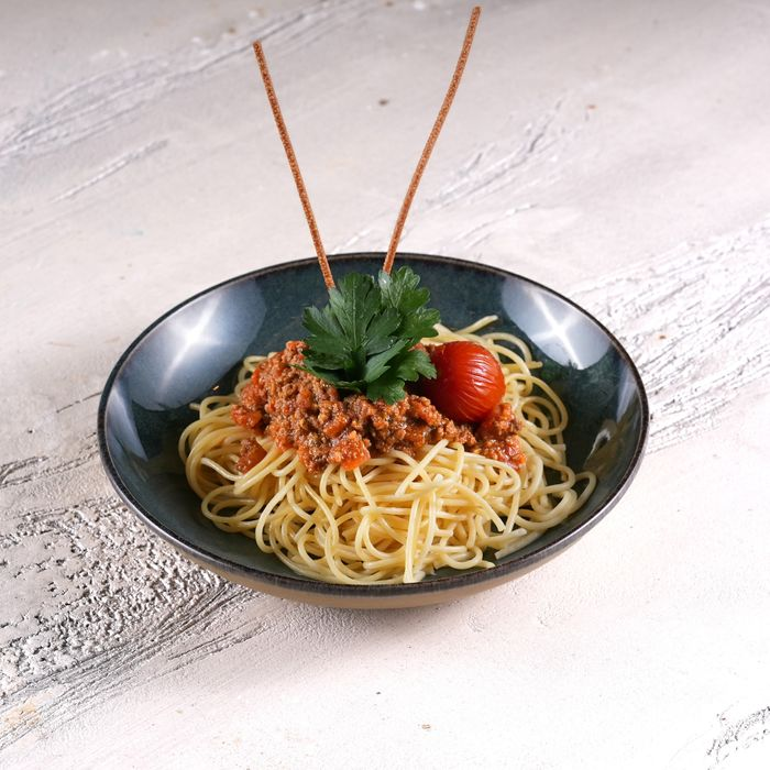 SPAGETTİ BOLONEZ    